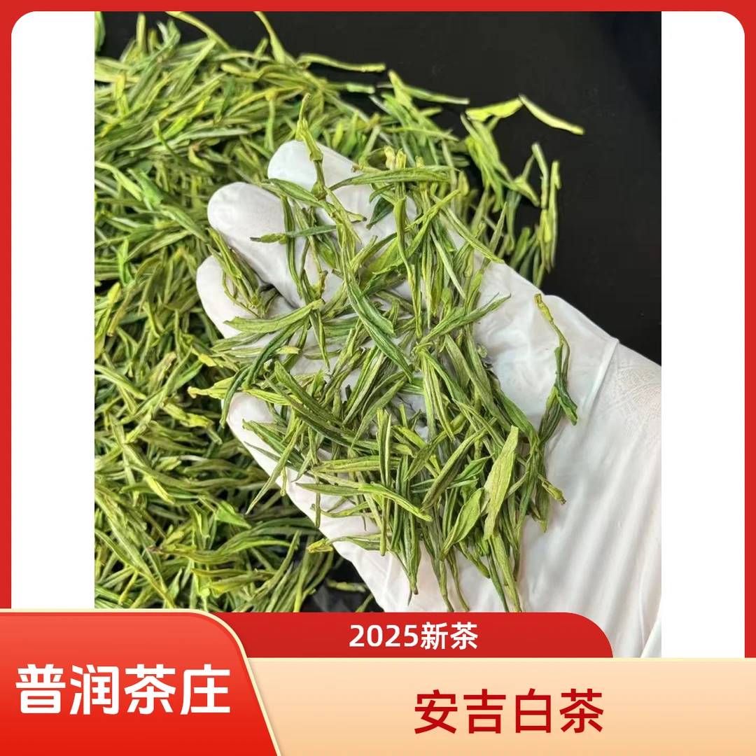 2025新茶正品 安吉白茶 明前茶 一芽二小叶 礼盒罐装