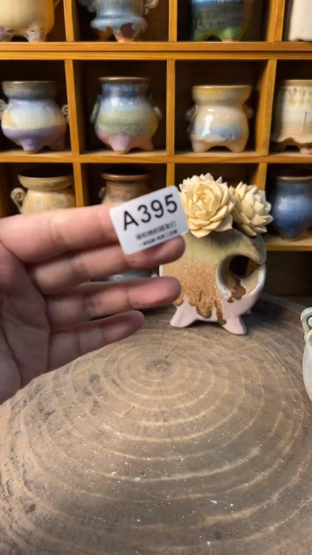 盛**通395【多肉花盆多肉盆】