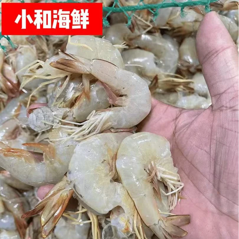 《去头黄虾钳》炒菜吃 炸着吃 5斤装 天津发货