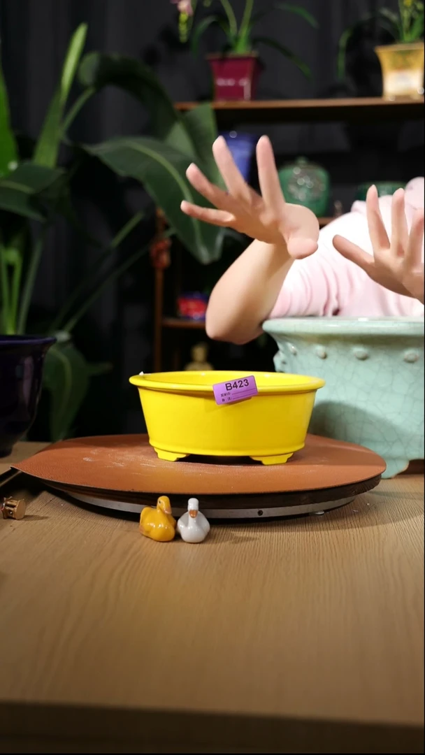 【石湾花盆】423