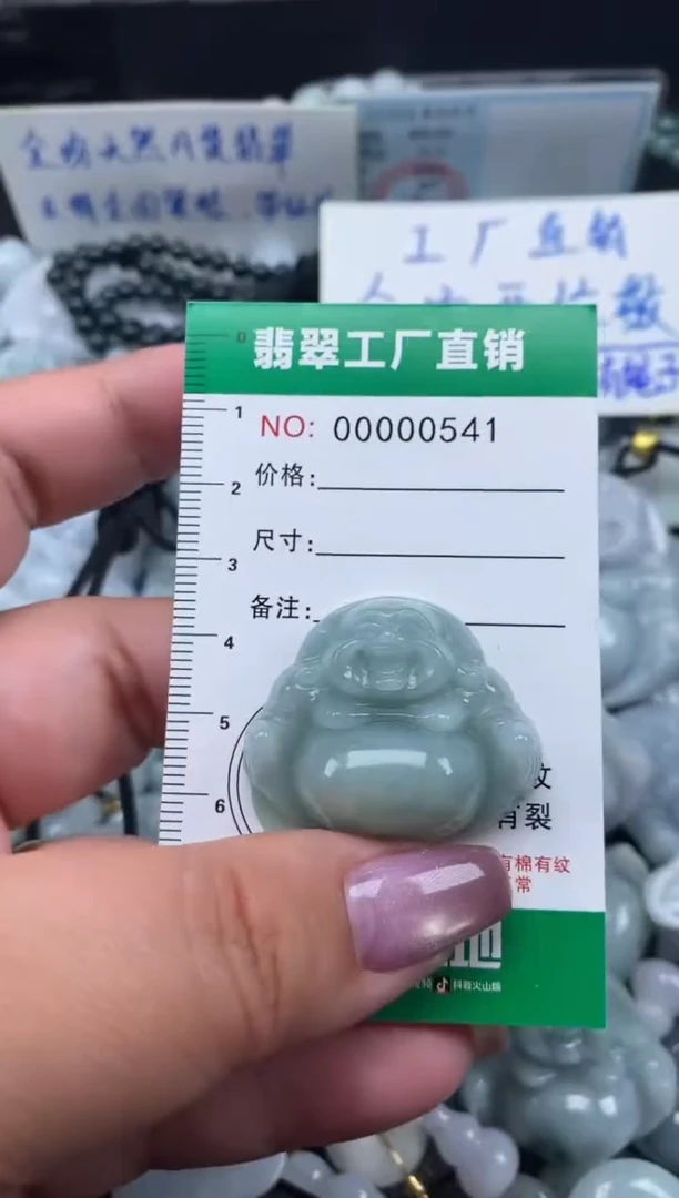 翡翠未镶嵌颈饰天然A货翡翠0541