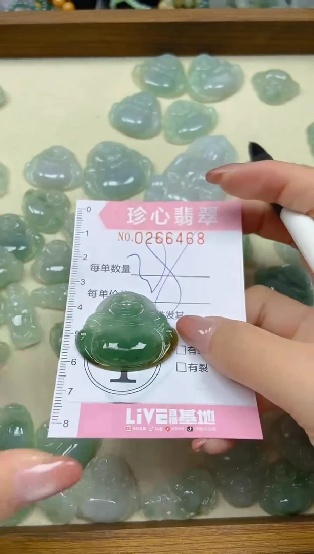 翡翠未镶嵌颈饰闪购0266468