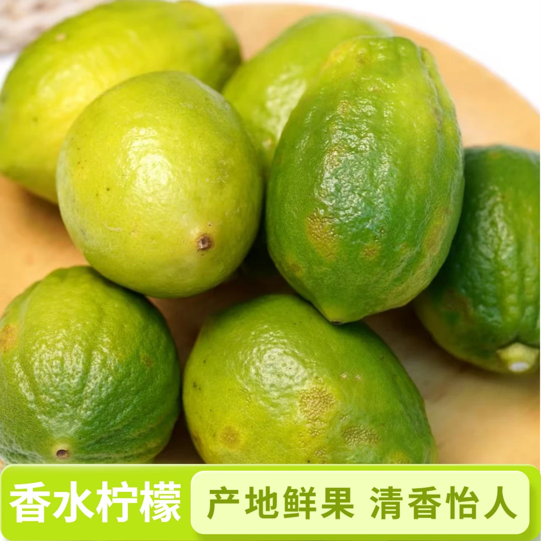 广东无籽香水柠檬新鲜水果香气怡人产地新鲜采摘双仓发货