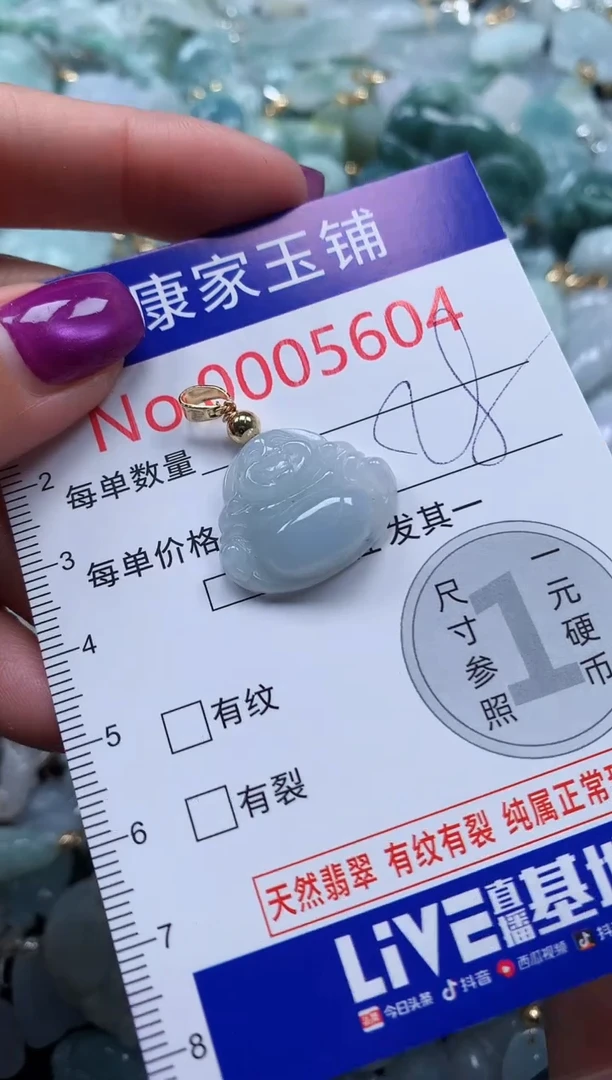 颈饰未镶嵌翡翠5604