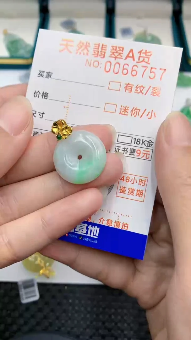 【闪购商品】翡翠颈饰银S925镶嵌            8