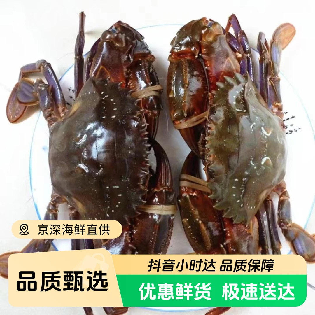 鲜活赤甲红 大红爪 1-5斤装