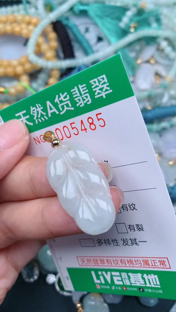 翡翠未镶嵌颈饰.0005485
