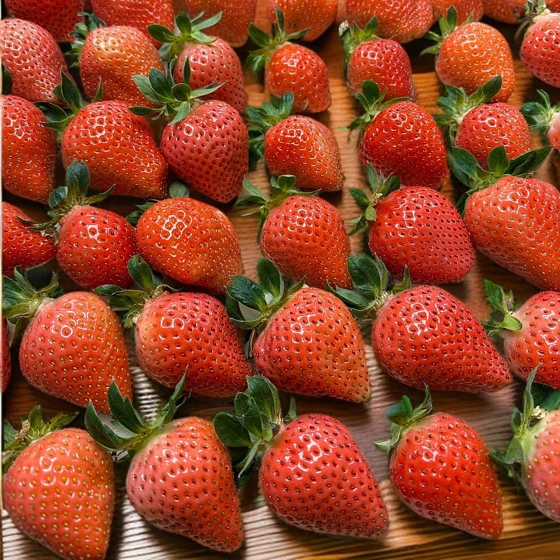 【香甜可口】西昌隋珠草莓500g