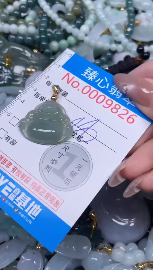 颈饰未镶嵌翡翠9826