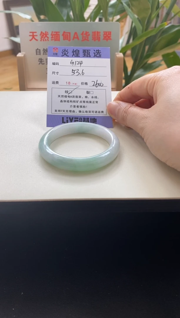未镶嵌手镯翡翠圈口53.6编码g124