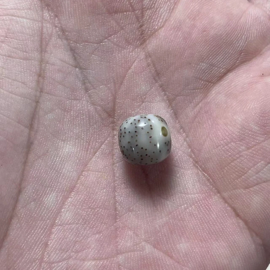 A1海南原生态星月菩提改价链接