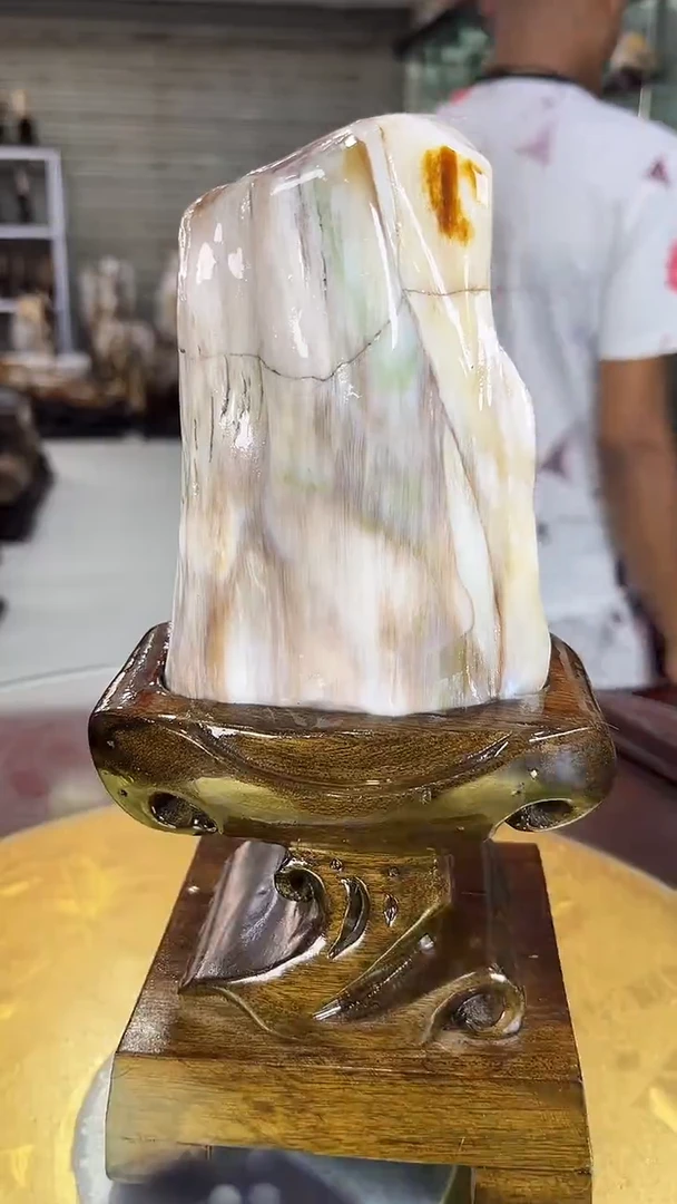 硅化玉珠宝奇石未镶嵌缅甸天然树化玉