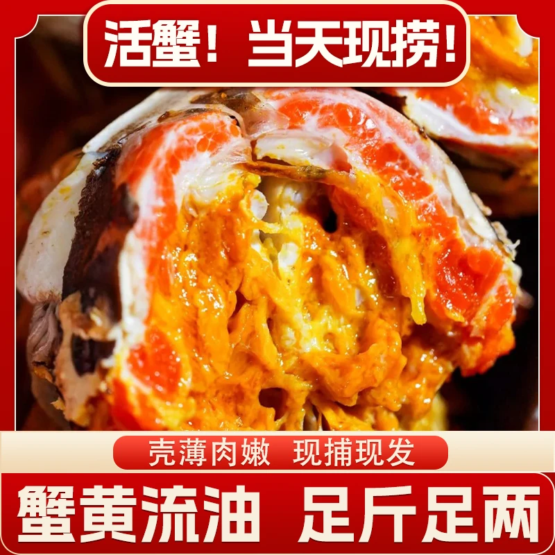 【江苏活蟹】鲜活大闸蟹 公5.0-4.7两 母4.0-3.7两共8只 礼盒JY T10