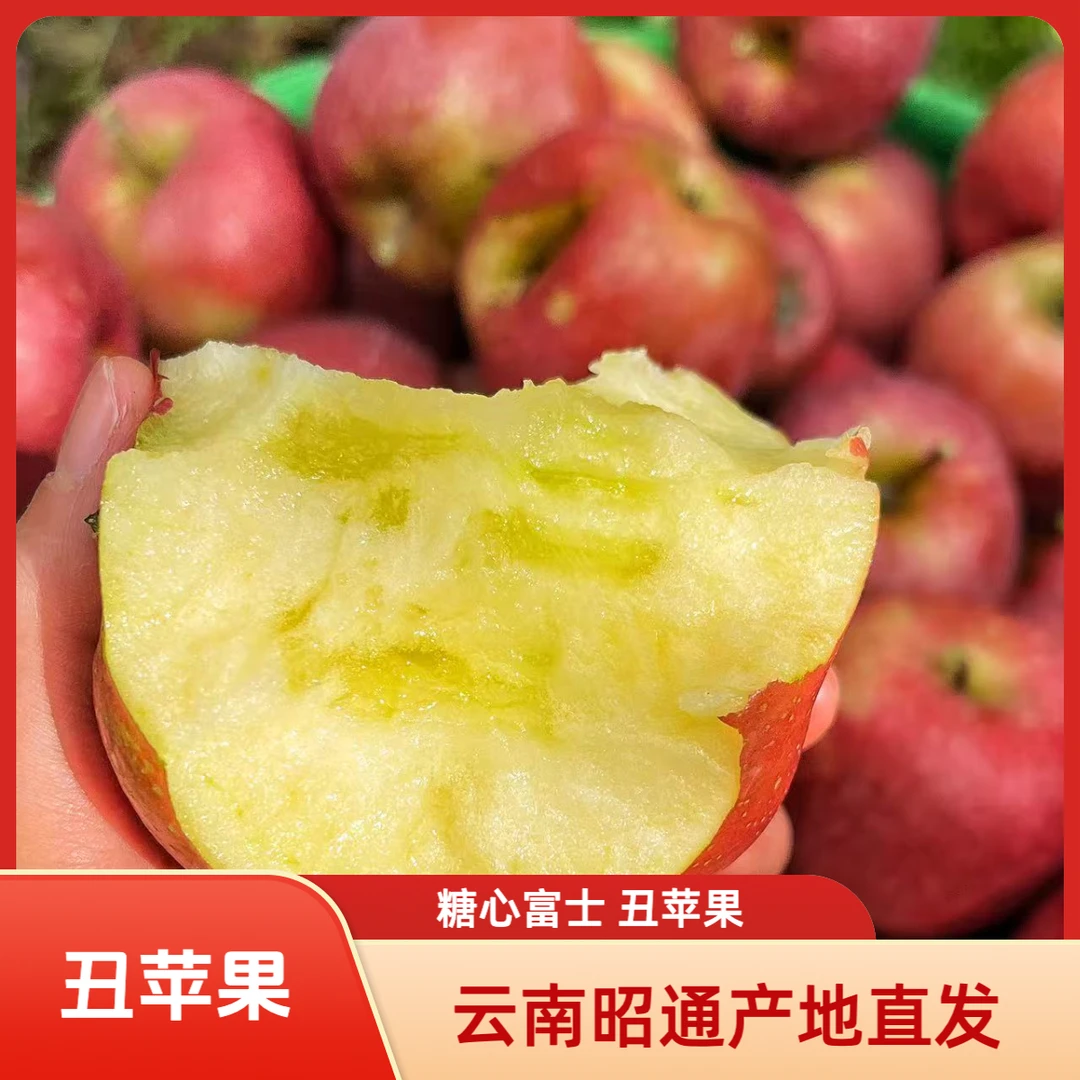 【昭通丑苹果】秋霖家云南昭通高山糖心富士丑苹果现摘现发