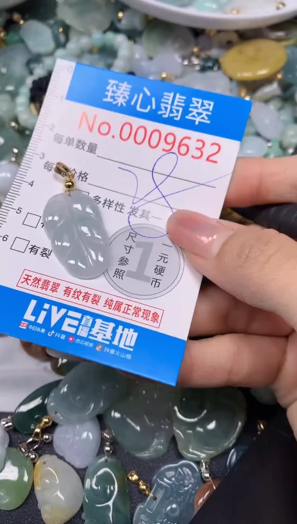 【闪购商品】翡翠颈饰未镶嵌含绳0009632