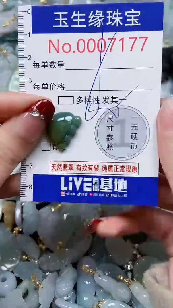 【闪购商品】翡翠颈饰未镶嵌闪购00007177