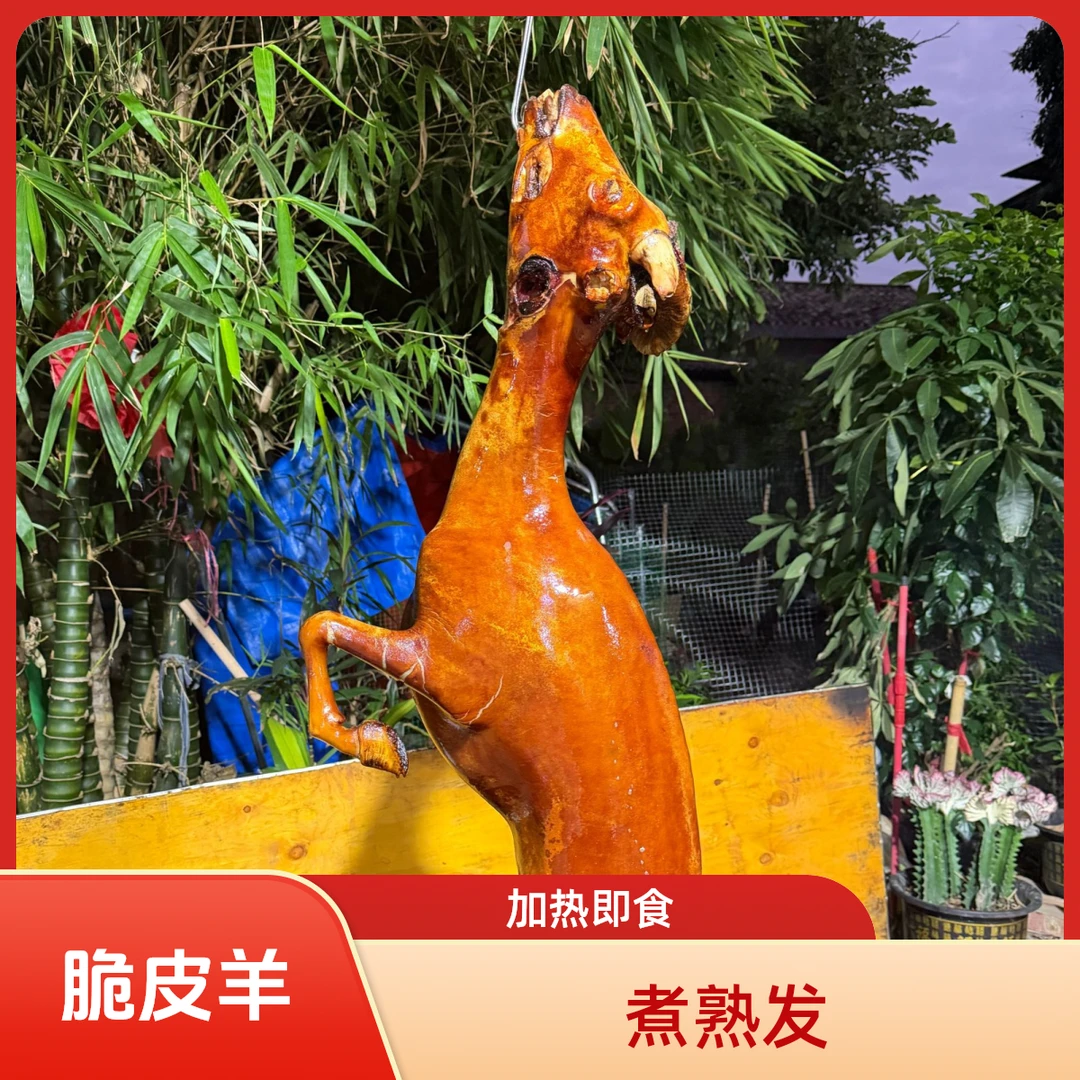 98文2斤发2斤4广西黑山羊肉煮好发出抽真空发顺丰收到加热就吃