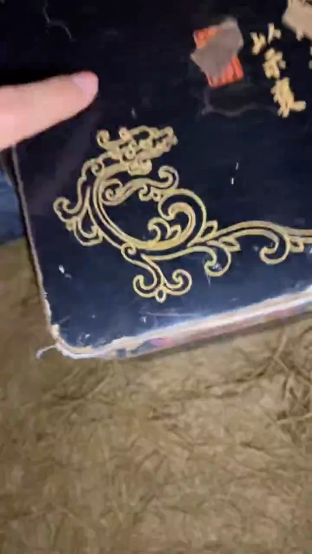 香榧木一一一一一一一一福利