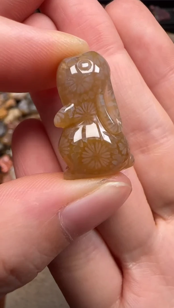 硅化珊瑚（珊瑚玉）未镶嵌颈饰582