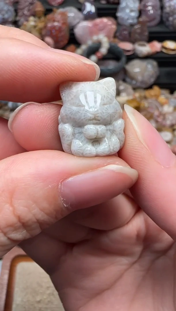 颈饰未镶嵌硅化珊瑚（珊瑚玉）086
