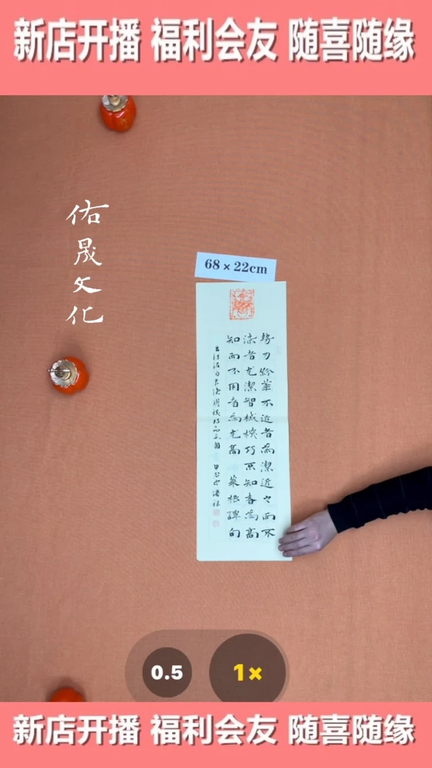 【闪购商品】书法徐老师原创书法作品