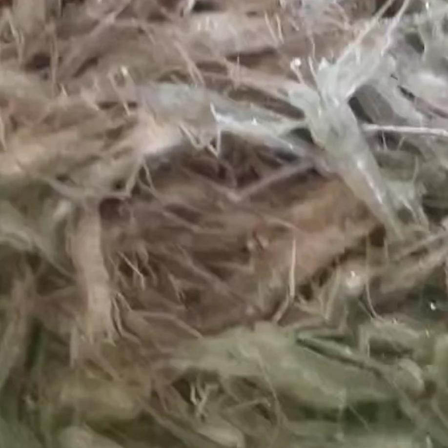 秀妹子冷冻大河虾1/2/3/4斤真空包装 顺丰发货 自产自销