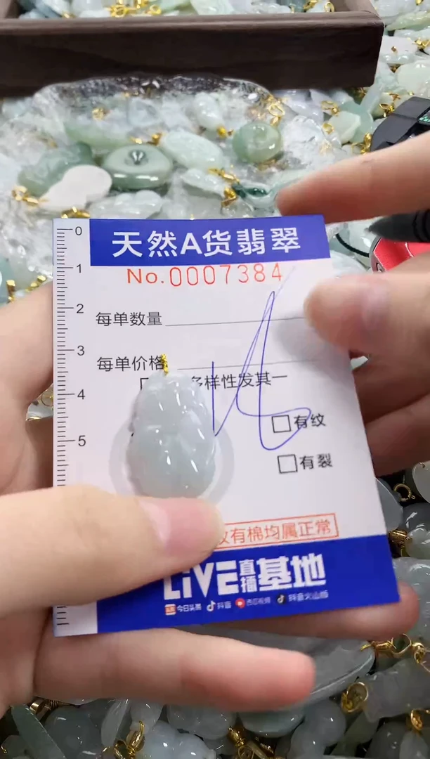 颈饰未镶嵌翡翠天然A货翡翠