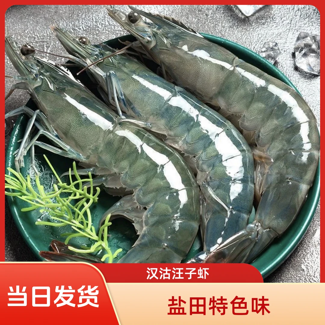 汉沽盐田汪子虾鲜活现发 保鲜不保活
