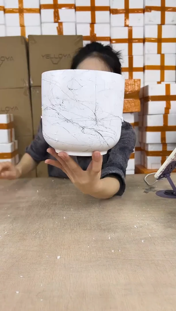 杯型白飞丝小号15x14