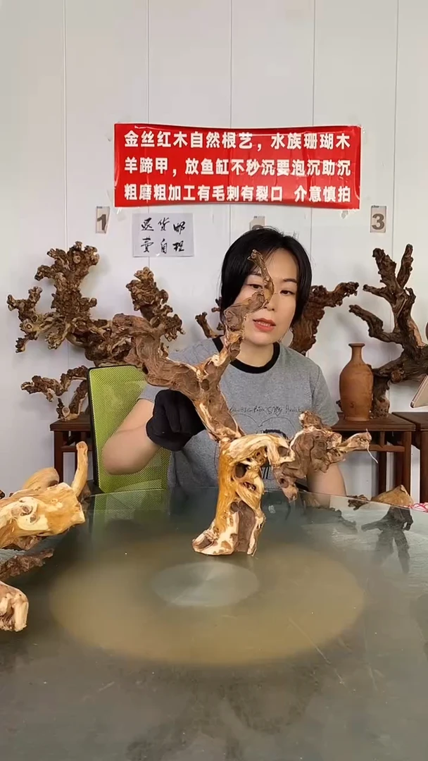 香榧木聚*堂金丝红木   羊蹄甲