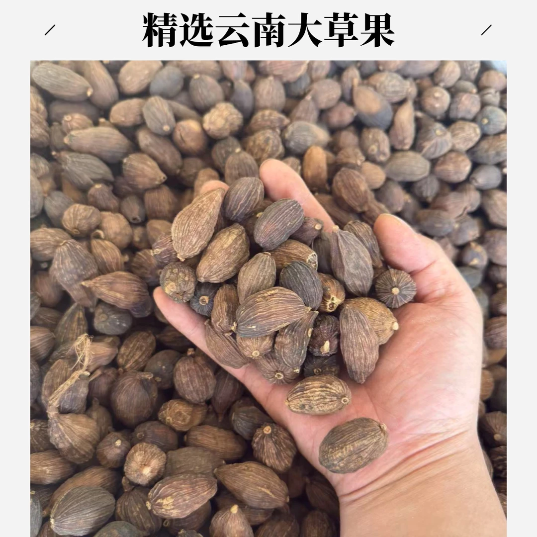 安国中药材市场草果云南草果去柄100-1000g