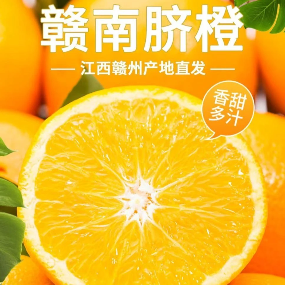 【礼盒装】正宗赣南脐橙新鲜采摘皮薄多汁橙香浓郁