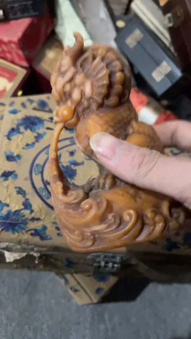 木吸水吸龙111111111