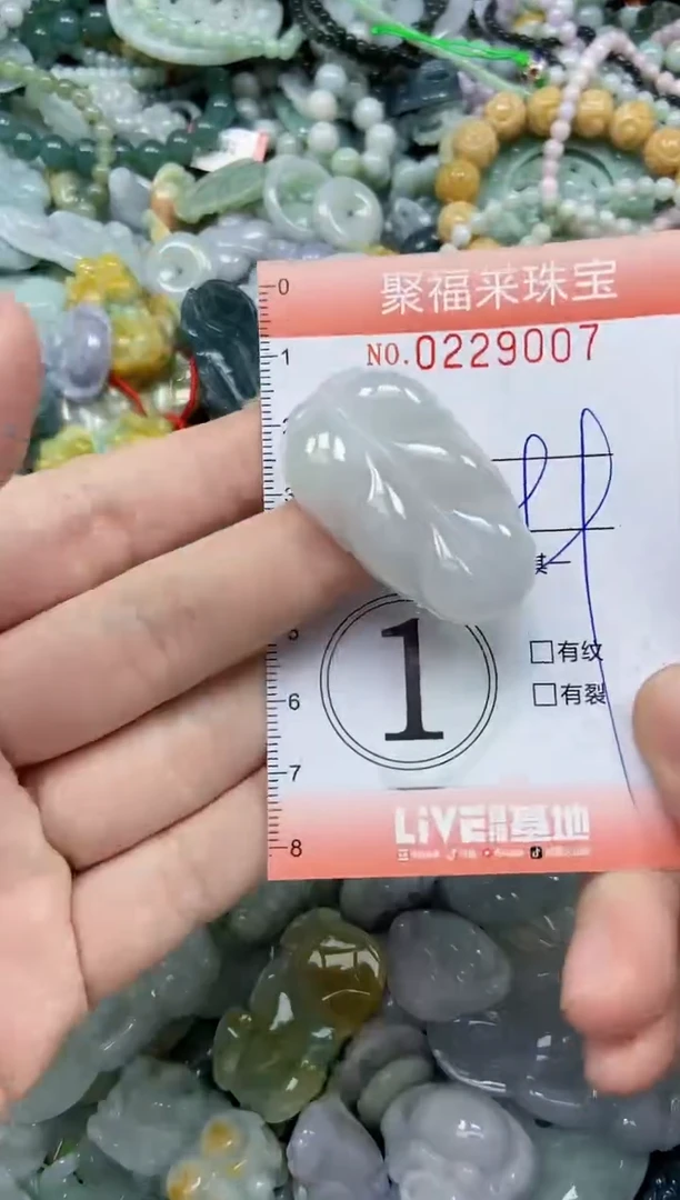 颈饰未镶嵌翡翠闪购0229007