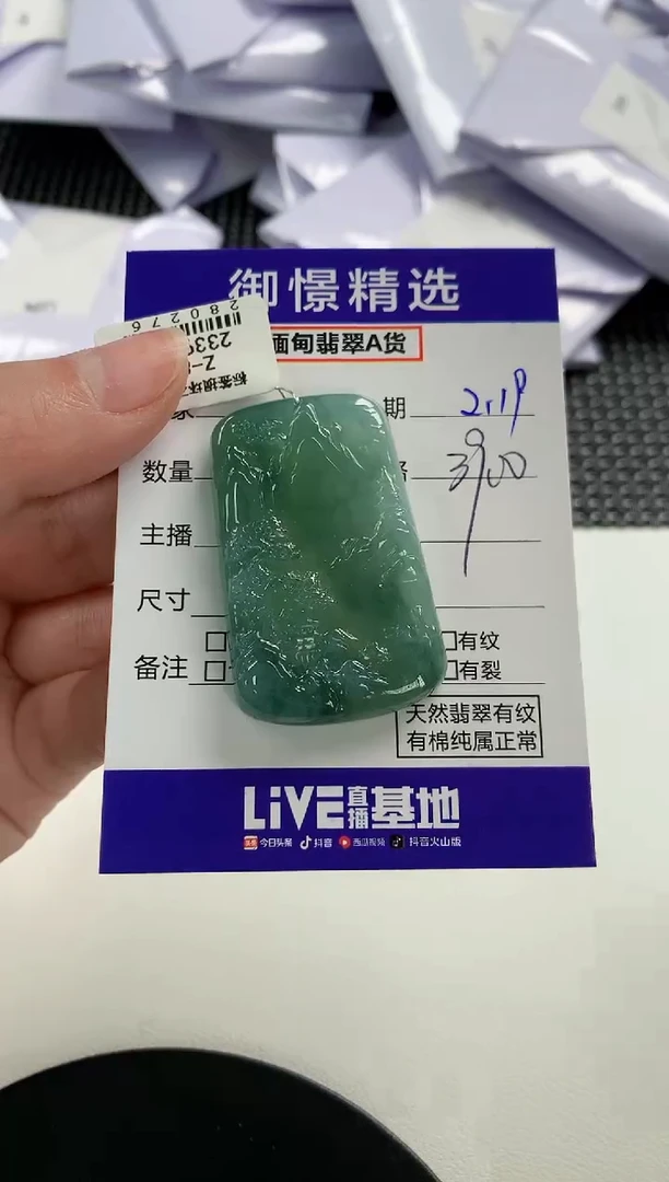 【闪购商品】翡翠颈饰未镶嵌70