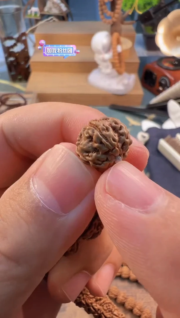 金刚菩提吊坠654矮桩老树梅花尺寸8-12+刷子