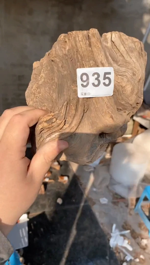 【闪购商品】柏木太行陈化崖柏（津诚林）切片