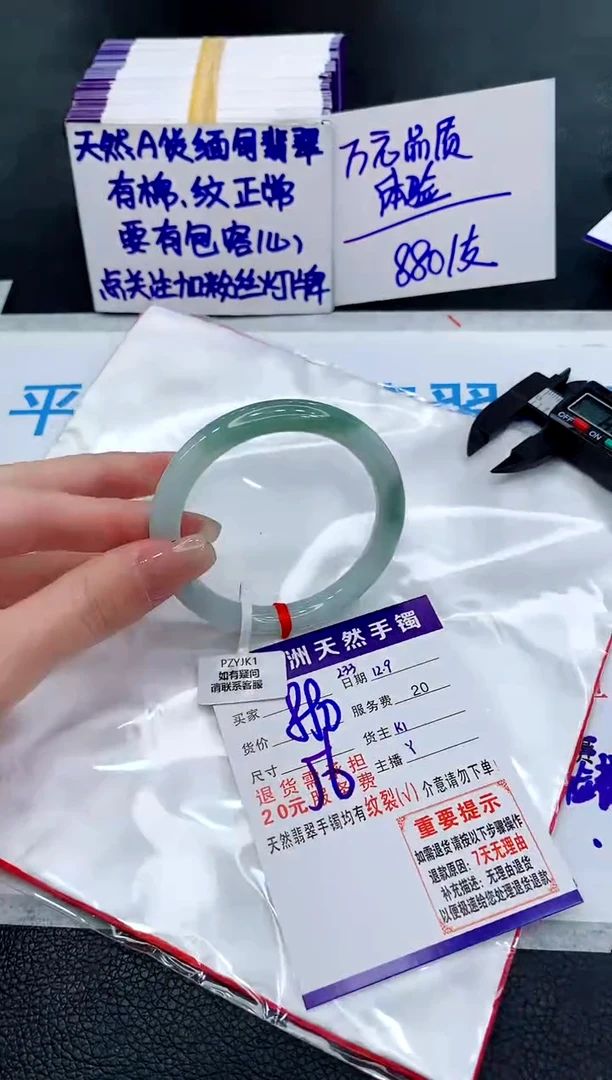 未镶嵌手镯翡翠11111111