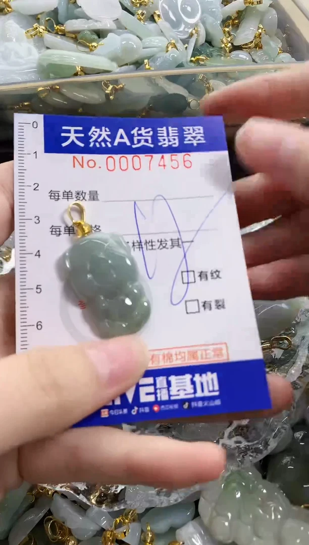 颈饰未镶嵌翡翠天然A货翡翠