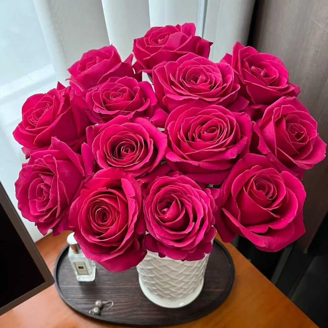 【弗洛伊德】云南基地鲜切花，到货一定要先醒花，不会的请咨询客服