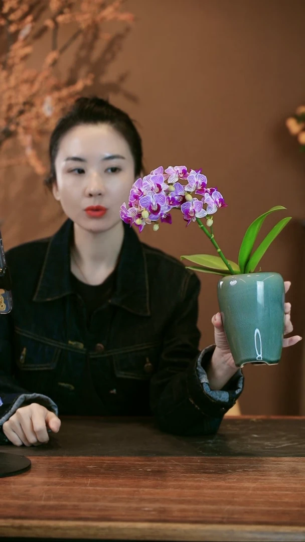 【闪购商品】盆景小仙女 灰