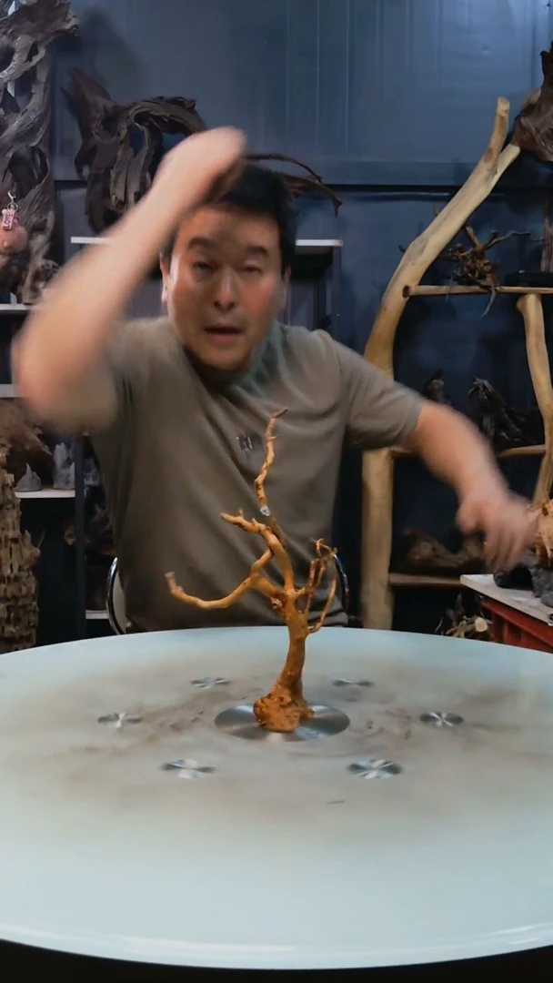 382清香阁清香阁清香阁