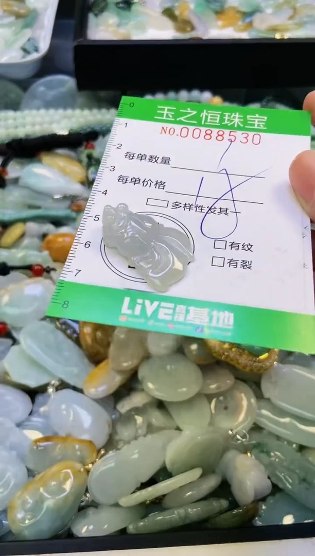 翡翠未镶嵌颈饰闪购0088530