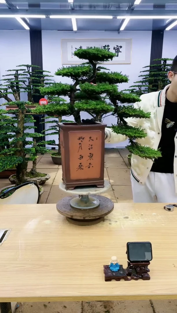 【闪购商品】00000000000