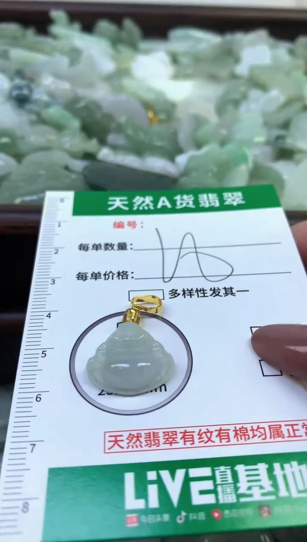 颈饰未镶嵌翡翠纯天然缅甸A货翡翠