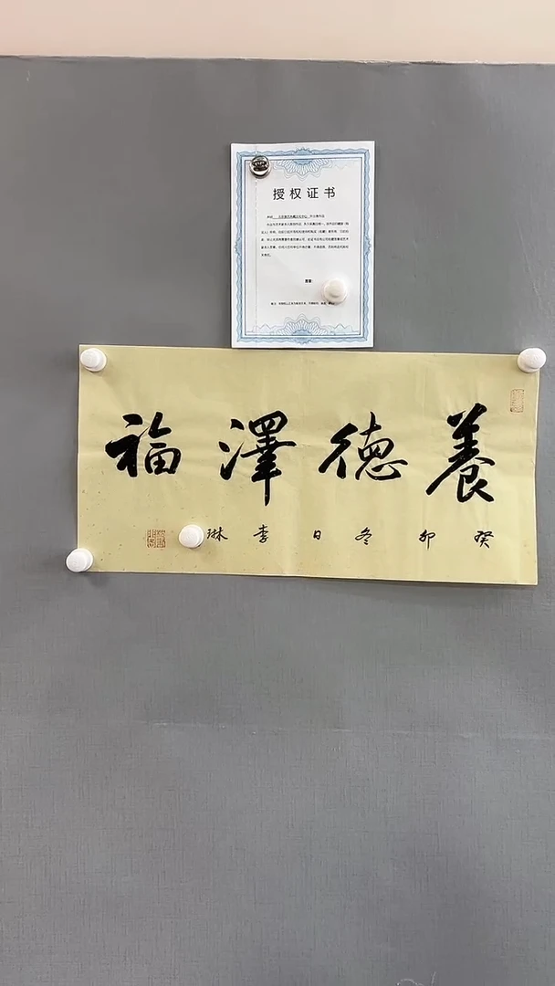 【闪购商品】书法雅艺典藏文化书法