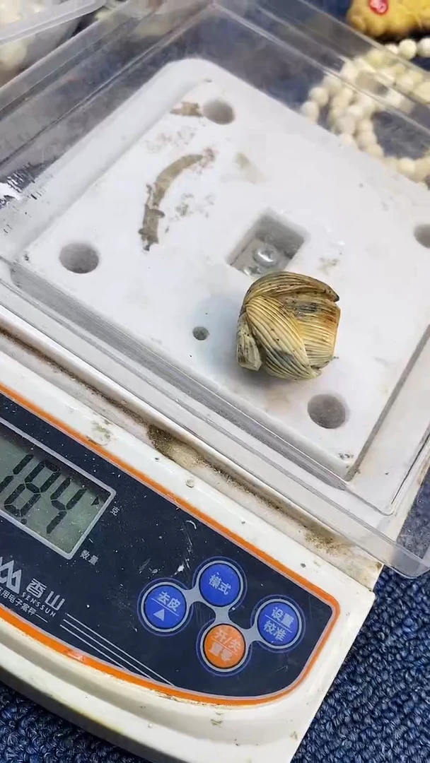 泥塑小把玩件摆件