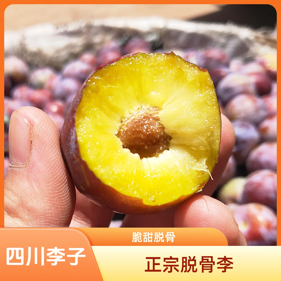 四川小翠红半边红茵红李青红脱骨李子新鲜脆甜当季整箱水果