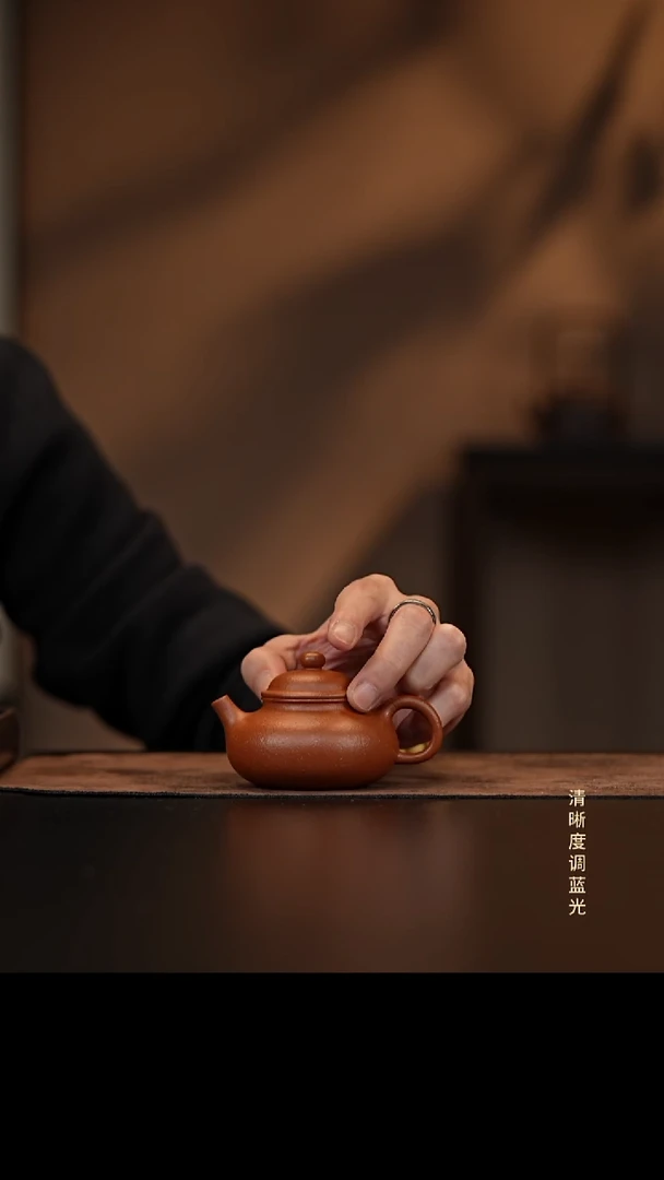 活*毛允禾斋 紫砂壶  小容天 降坡