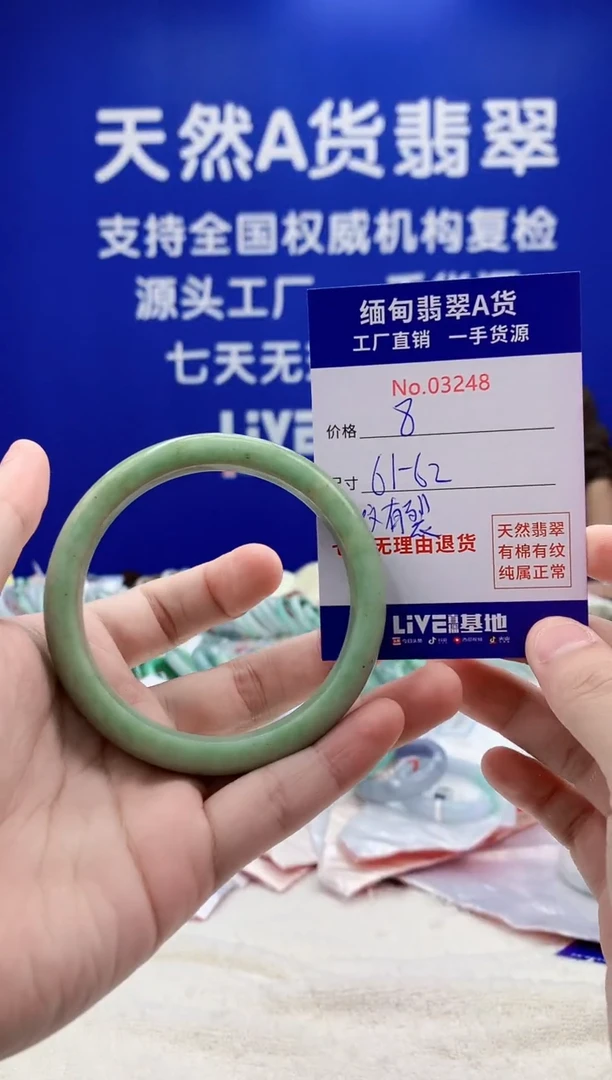 未镶嵌手镯翡翠48